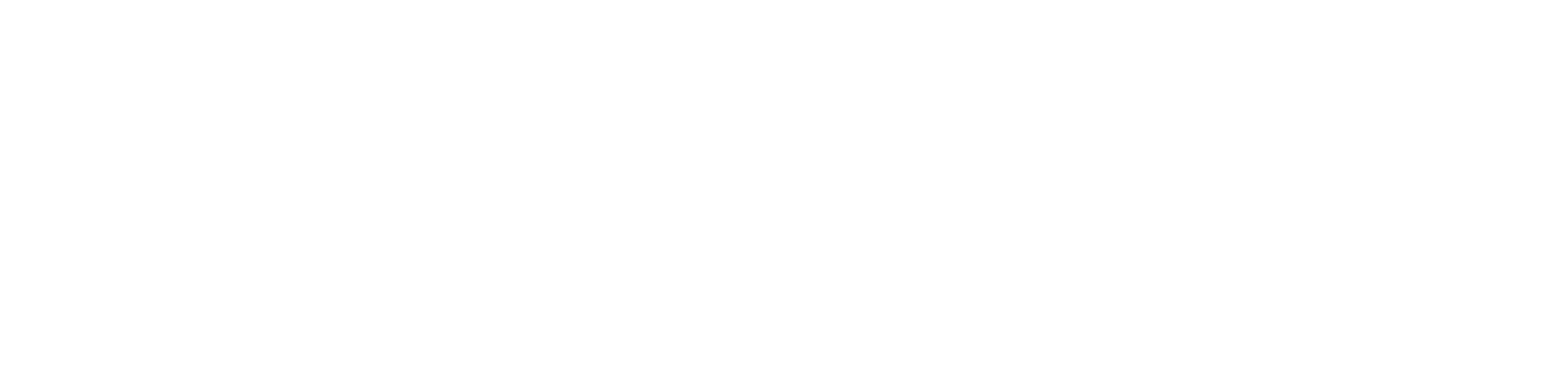 Logo for Premier Drone Photography, featuring stylized drone graphics on the left and bold text on a transparent background.
