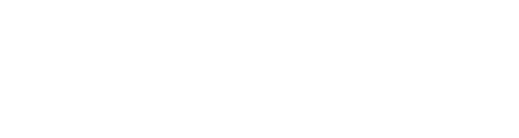 The image is completely blank with a white background and no visible objects, text, or markings.